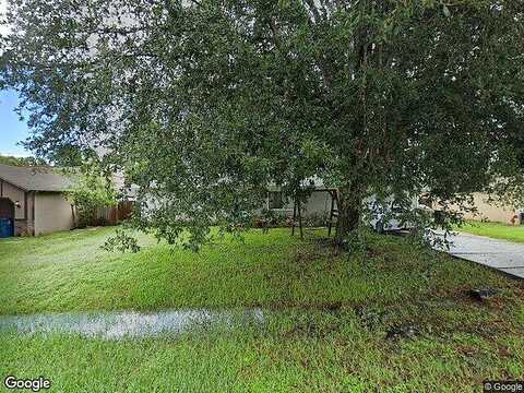 Chicory, PALM BAY, FL 32907