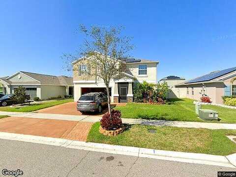 Sunshine Mimosa, WIMAUMA, FL 33598