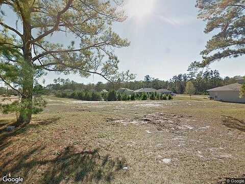 Paso Fino, JACKSONVILLE, FL 32218