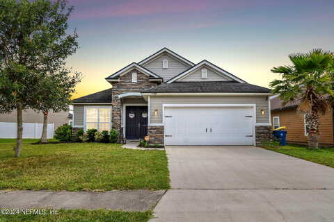 Paso Fino, JACKSONVILLE, FL 32218