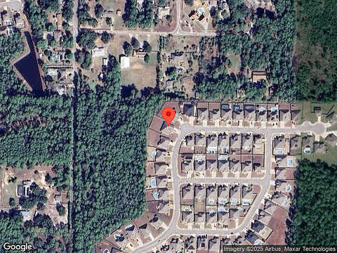 Areca Palm, GULF BREEZE, FL 32563