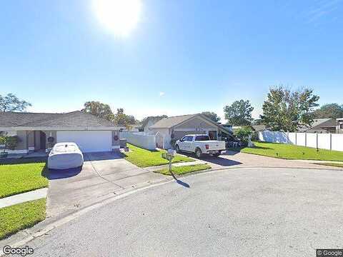 Lily, TARPON SPRINGS, FL 34689