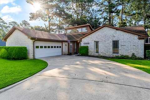 Rainforest, MONTGOMERY, TX 77356