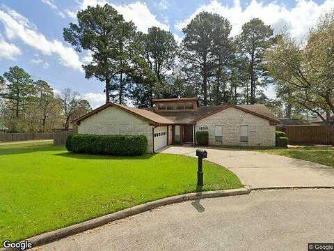 Rainforest, MONTGOMERY, TX 77356