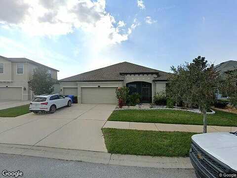 Iris Spring, RIVERVIEW, FL 33579