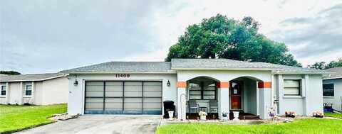 Possum, PORT RICHEY, FL 34668