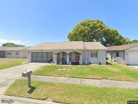 Possum, PORT RICHEY, FL 34668