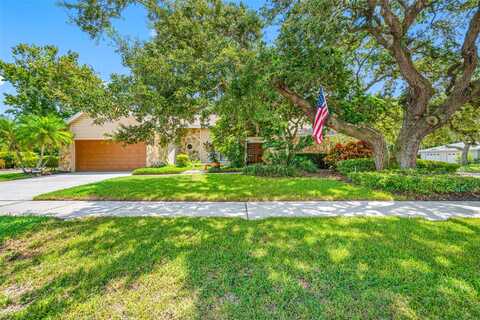 Bramblewood, SAFETY HARBOR, FL 34695
