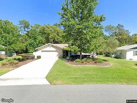 Wild Olive, HOMOSASSA, FL 34446