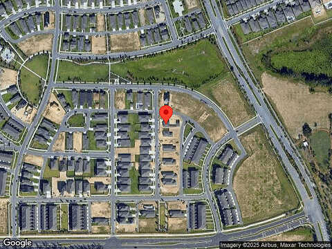 Makrut Lime, WINTER GARDEN, FL 34787