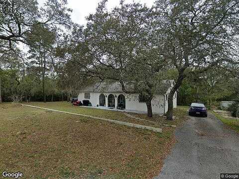 Camelia, TARPON SPRINGS, FL 34689