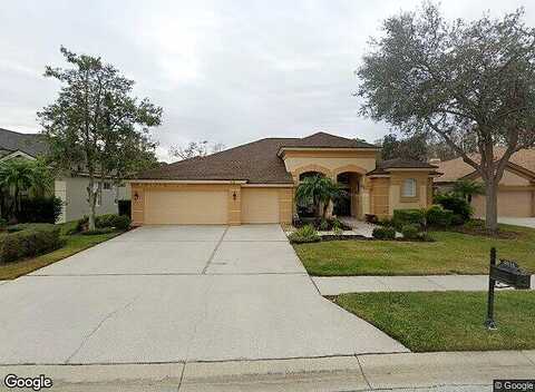 Ayron, PALM HARBOR, FL 34685