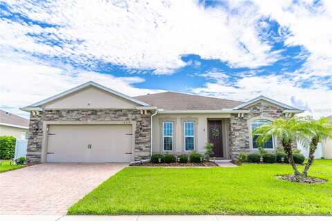 Tigris, APOPKA, FL 32712