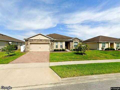 Tigris, APOPKA, FL 32712
