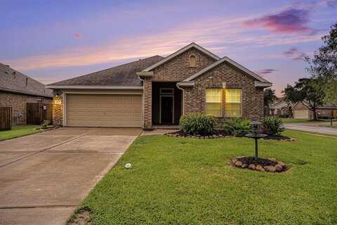 Palmetto, DICKINSON, TX 77539