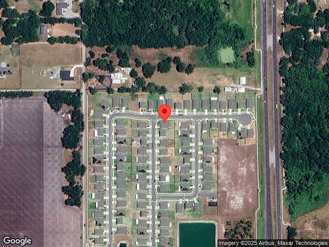 Bonsilva, PLANT CITY, FL 33566