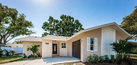 Spanish Moss, PALM HARBOR, FL 34684