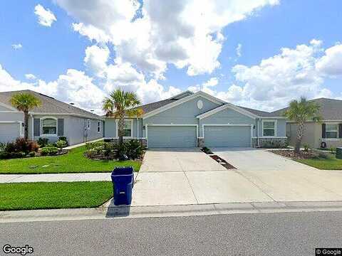 Mango Fade, SAN ANTONIO, FL 33576