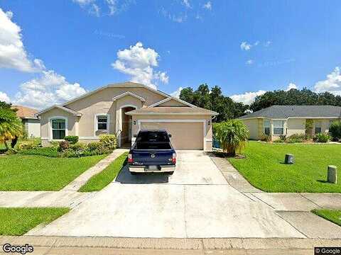 Moose, DAVENPORT, FL 33837