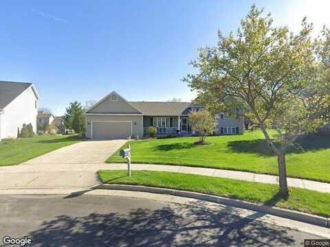 Orchid, VERONA, WI 53593