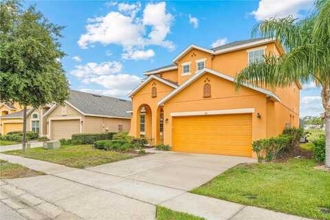 Orange Cosmos, DAVENPORT, FL 33837