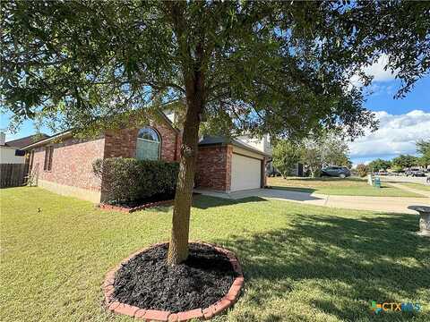 Nessy, KILLEEN, TX 76549