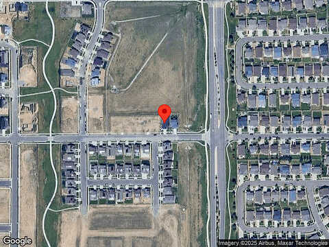 Thistle, BRIGHTON, CO 80601