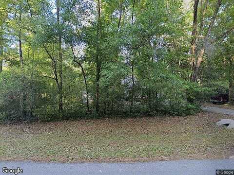 Buddingtons Landing, MIDDLEBURG, FL 32068