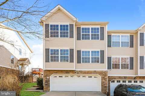 Wilde, DREXEL HILL, PA 19026