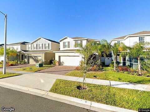 Eucalyptus, DAVENPORT, FL 33837