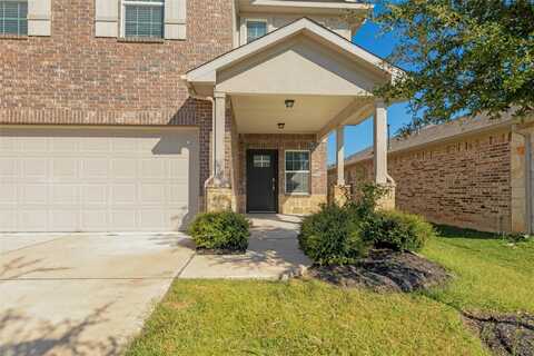 Otto, GEORGETOWN, TX 78626