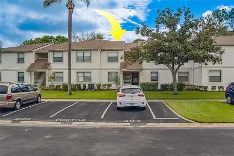 Meadow, OLDSMAR, FL 34677