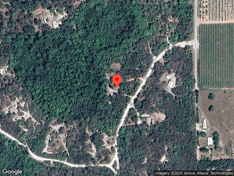 Bob Cat, LAKE WALES, FL 33898