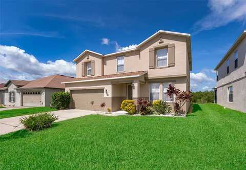 Elderberry, DAVENPORT, FL 33897