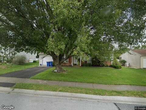 Honeysuckle, MECHANICSBURG, PA 17050
