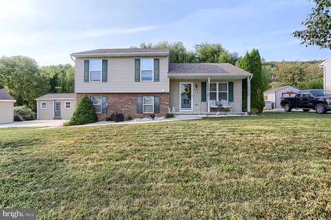 Mountain, ENOLA, PA 17025