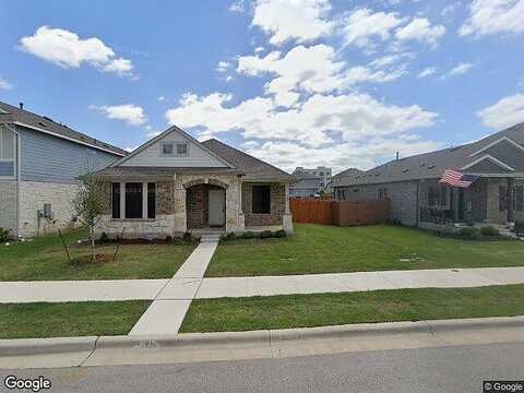Arabian Colt, GEORGETOWN, TX 78626