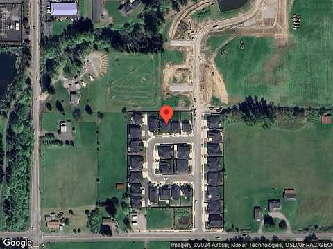 Goose, RIDGEFIELD, WA 98642