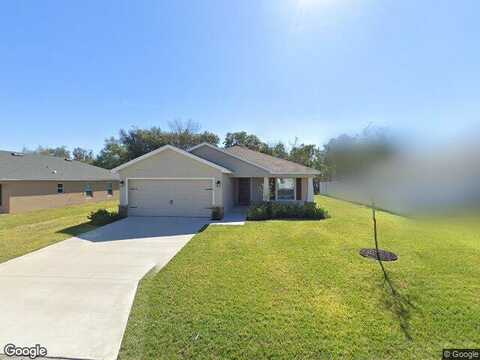 Water Lily, LAKE ALFRED, FL 33850