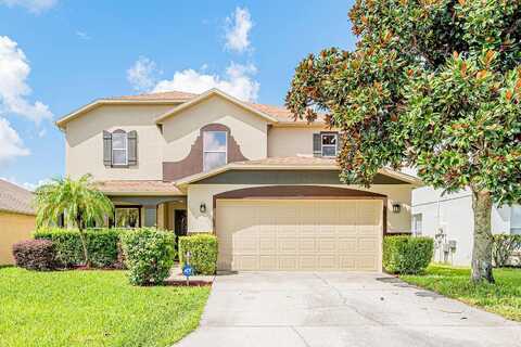 Canna, DAVENPORT, FL 33897
