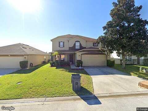 Canna, DAVENPORT, FL 33897