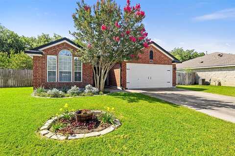 Tanner, GEORGETOWN, TX 78626