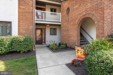 Black Oak, LANCASTER, PA 17602
