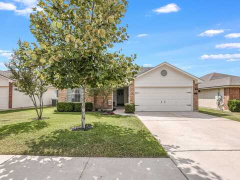 Avalanche, GEORGETOWN, TX 78626