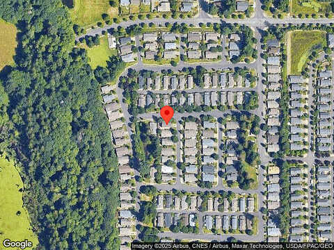 Springfield, LACEY, WA 98503