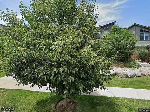 Nevada, LAKEWOOD, CO 80228