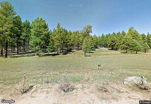 Foxboro, MUNDS PARK, AZ 86017