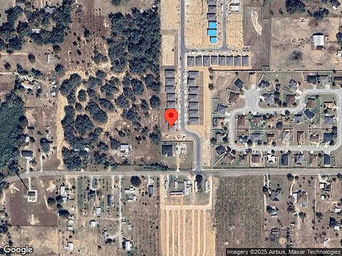 White Tail, DAVENPORT, FL 33837