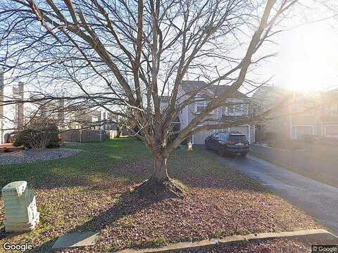 Tamarack, NEWTOWN, PA 18940