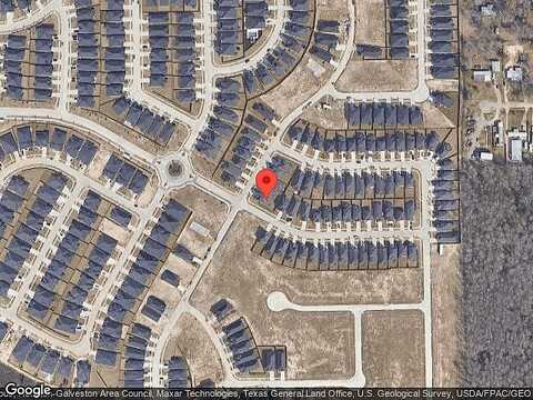 Tree Of Heaven, CONROE, TX 77385